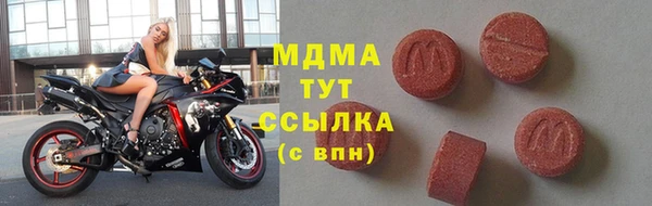 индика Алексин