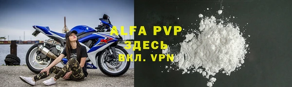 индика Алексин
