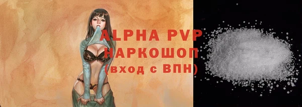индика Алексин