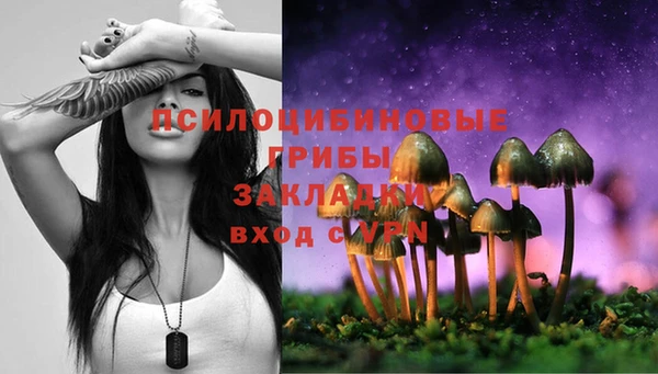 кокс Алексеевка