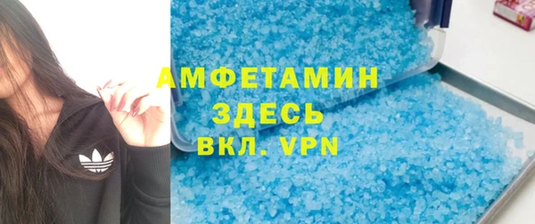 индика Алексин