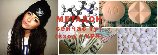 индика Алексин