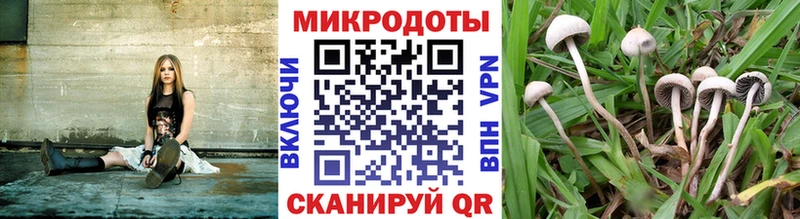 что такое Ува маркетплейс официальный сайт Галлюциногенные грибы прущие грибы